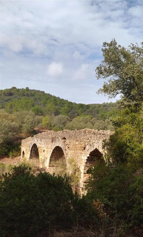 Bonita Casa Blanca En El Bosque. Villa Córdoba Buitenkant foto