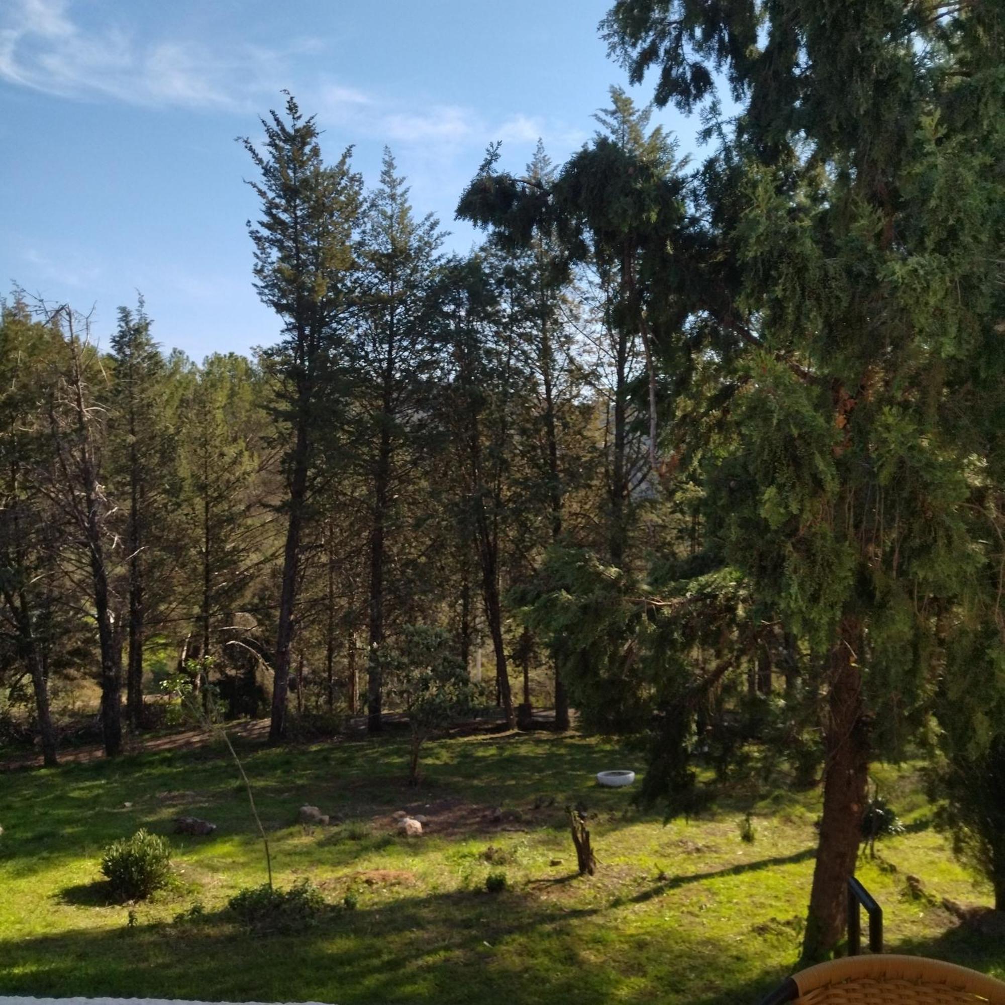 Bonita Casa Blanca En El Bosque. Villa Córdoba Buitenkant foto