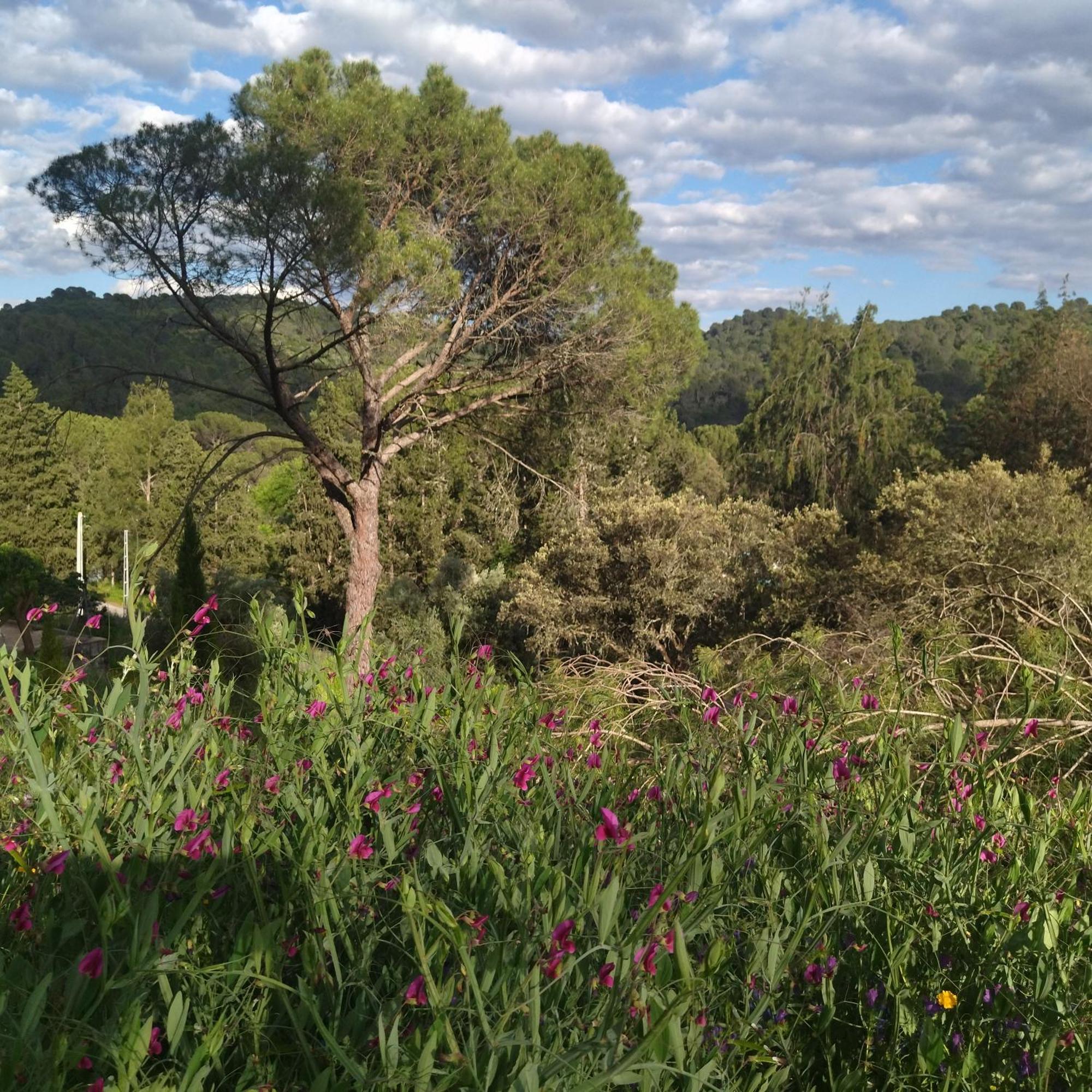 Bonita Casa Blanca En El Bosque. Villa Córdoba Buitenkant foto